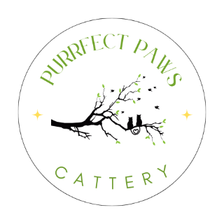Purrfect Paws Cattery logo