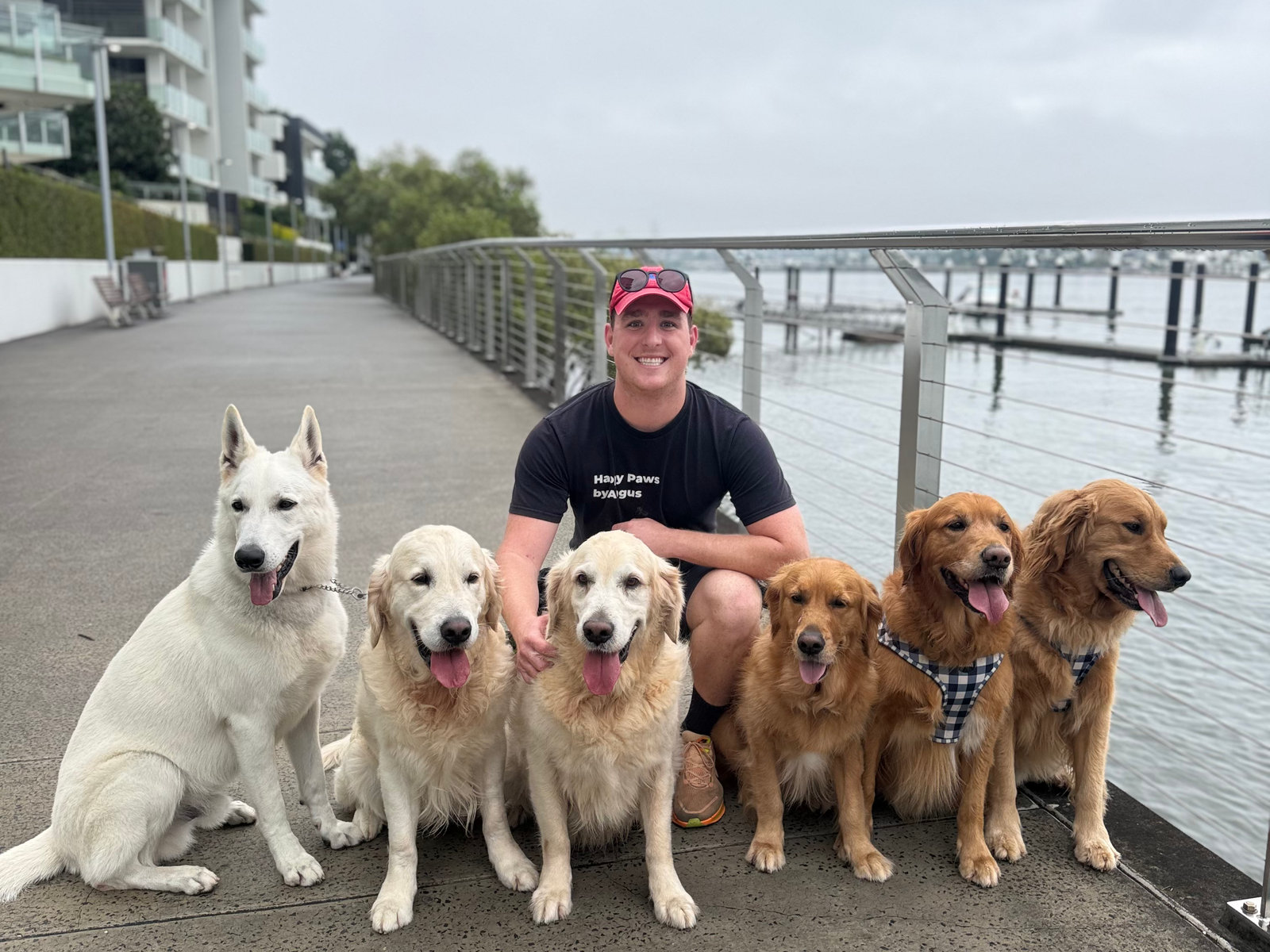 Happy Paws by Angus - professional pet services