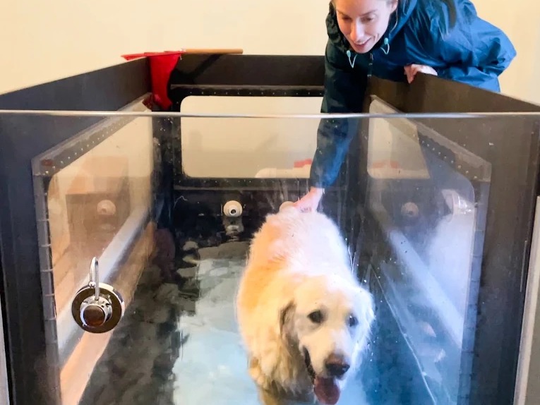 Hound Health Bondi - photo 4