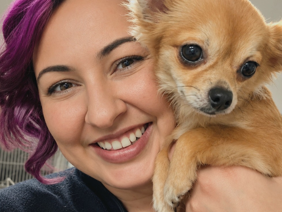 Husky House Call Vet & Oceanside Vet Nurses - photo 4