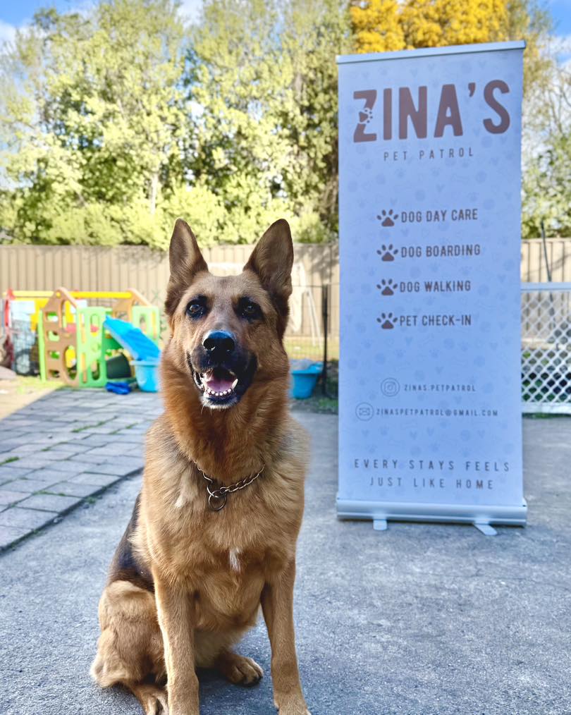 Zina’s Pet Patrol - professional pet services