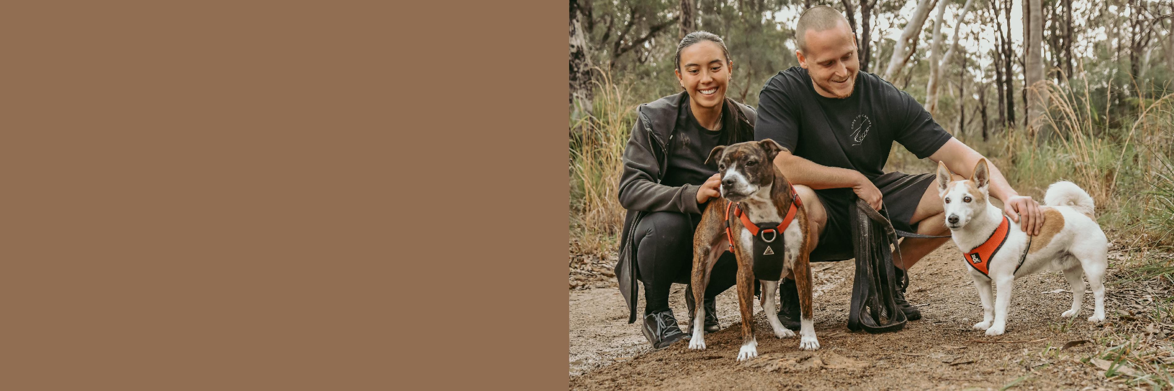 Care for Canines - professional pet services