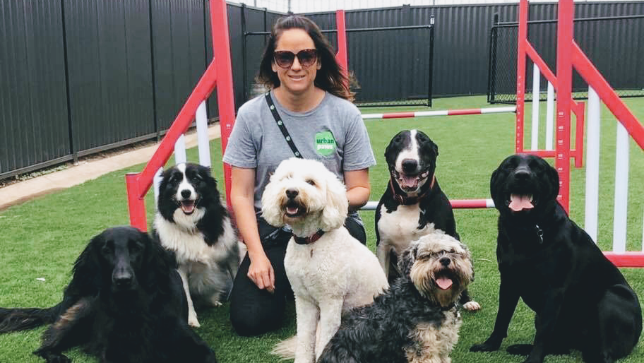 Urban Paws Doggy Daycare Geelong - professional pet services