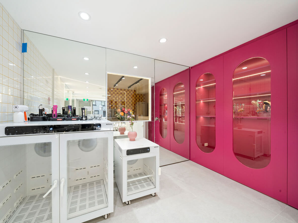 Hollywood Pets Lindfield - professional pet services