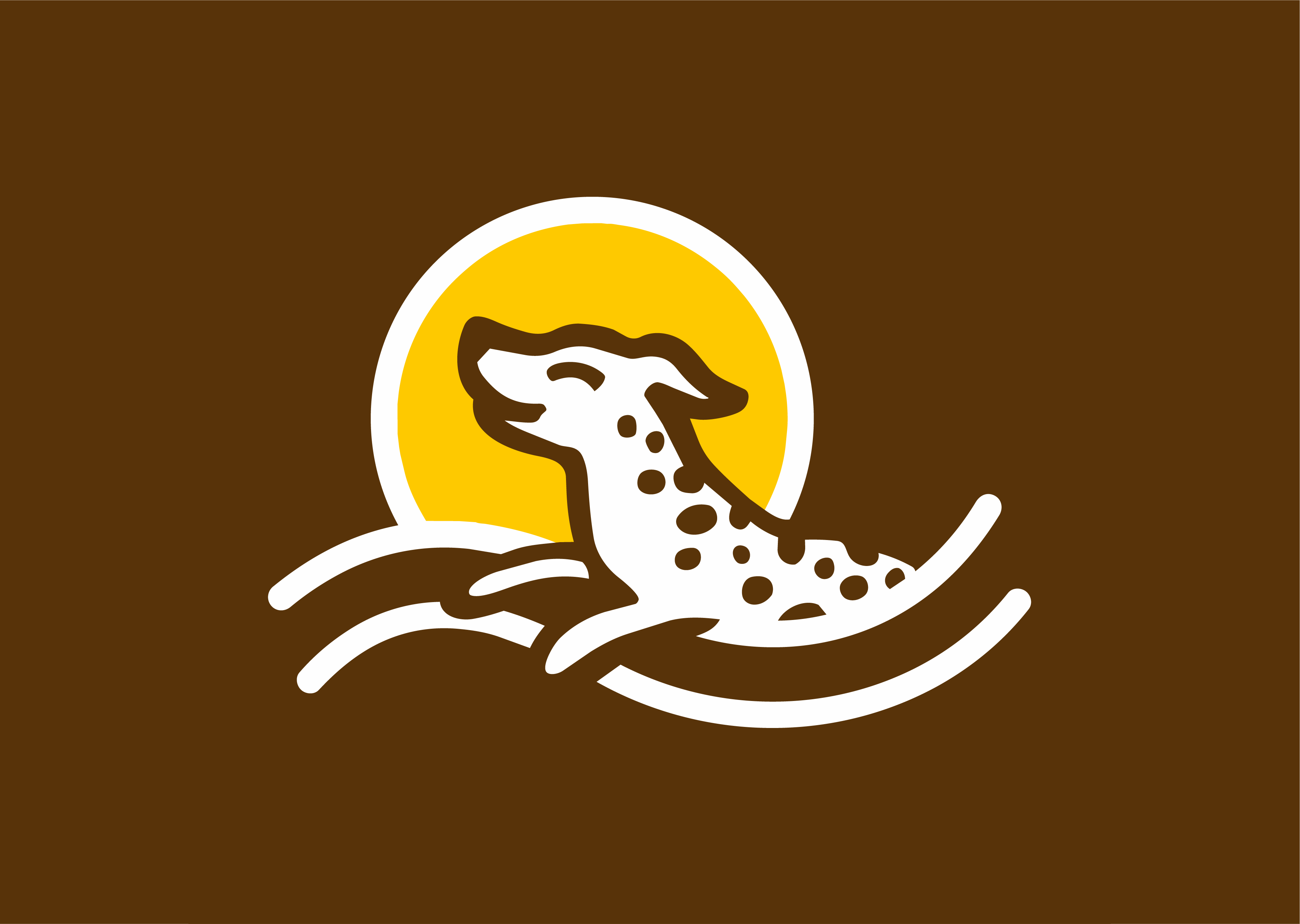 Sun Dog Hydrotherapy - professional pet services