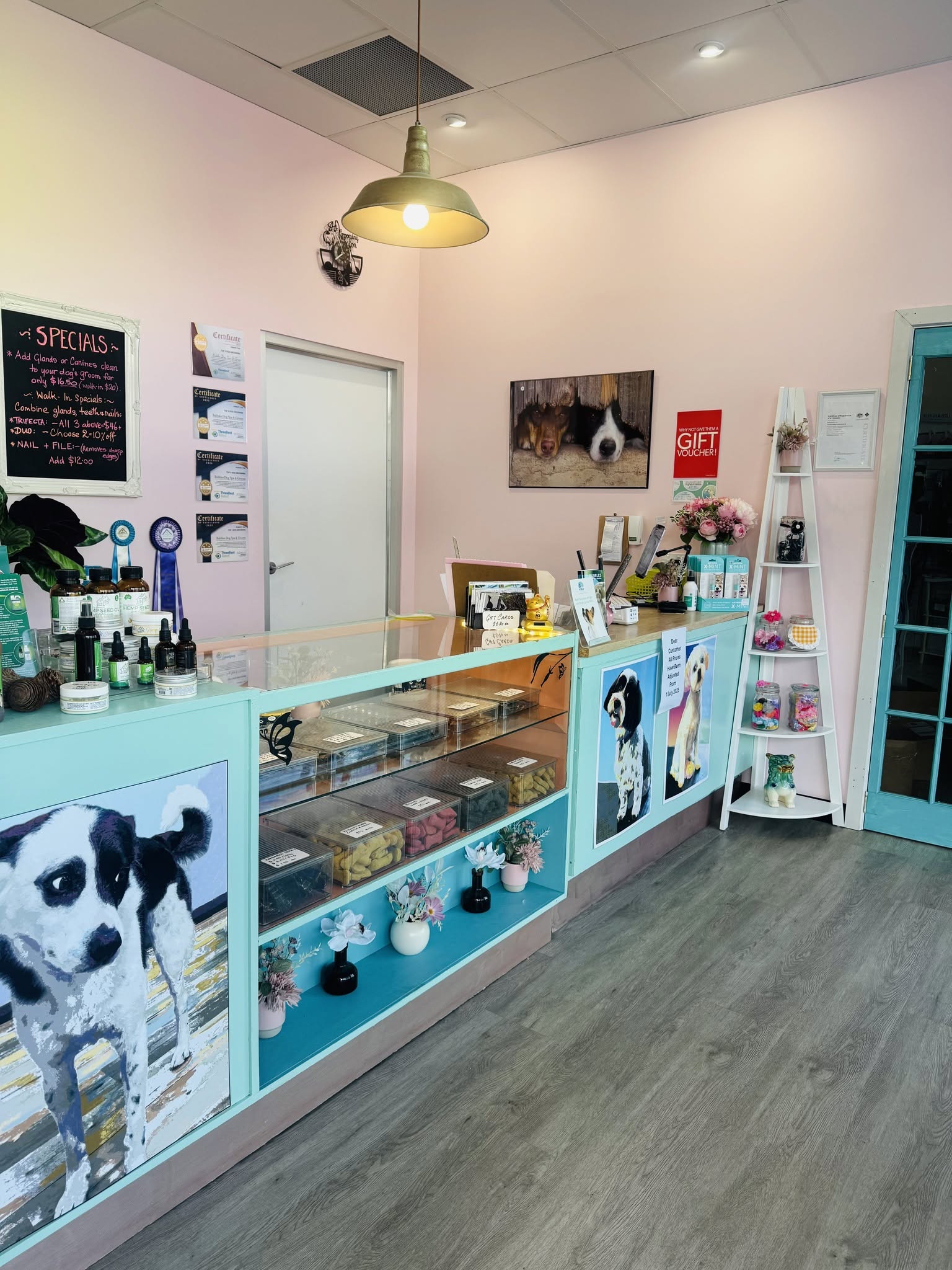 Bubbles Dog Spa & Groom - professional pet services