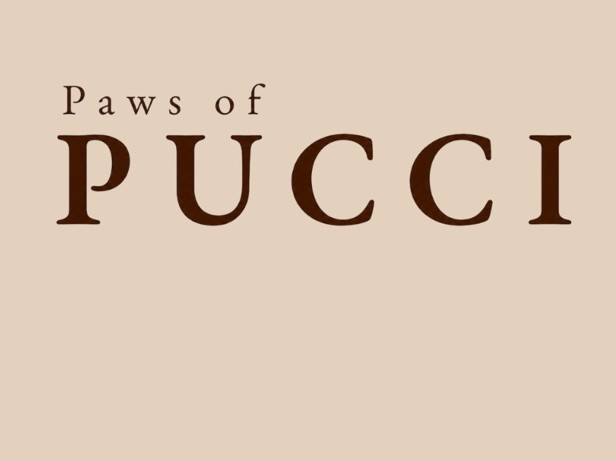 Paws of Pucci - professional pet services