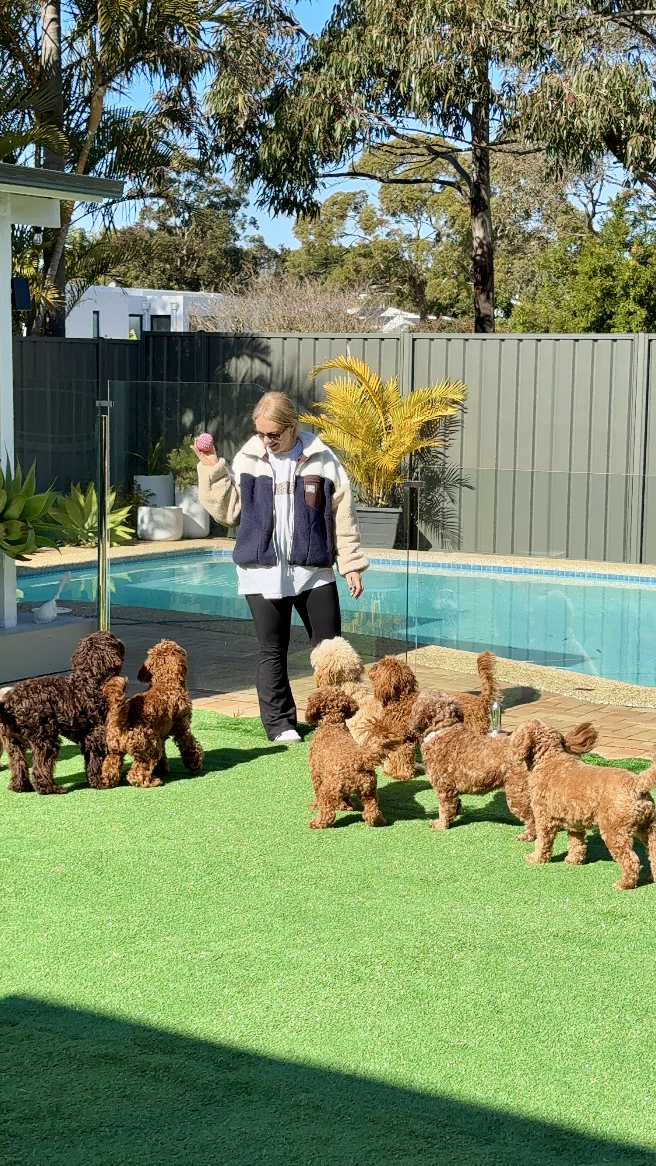 The Oodle Clubhouse - professional pet services