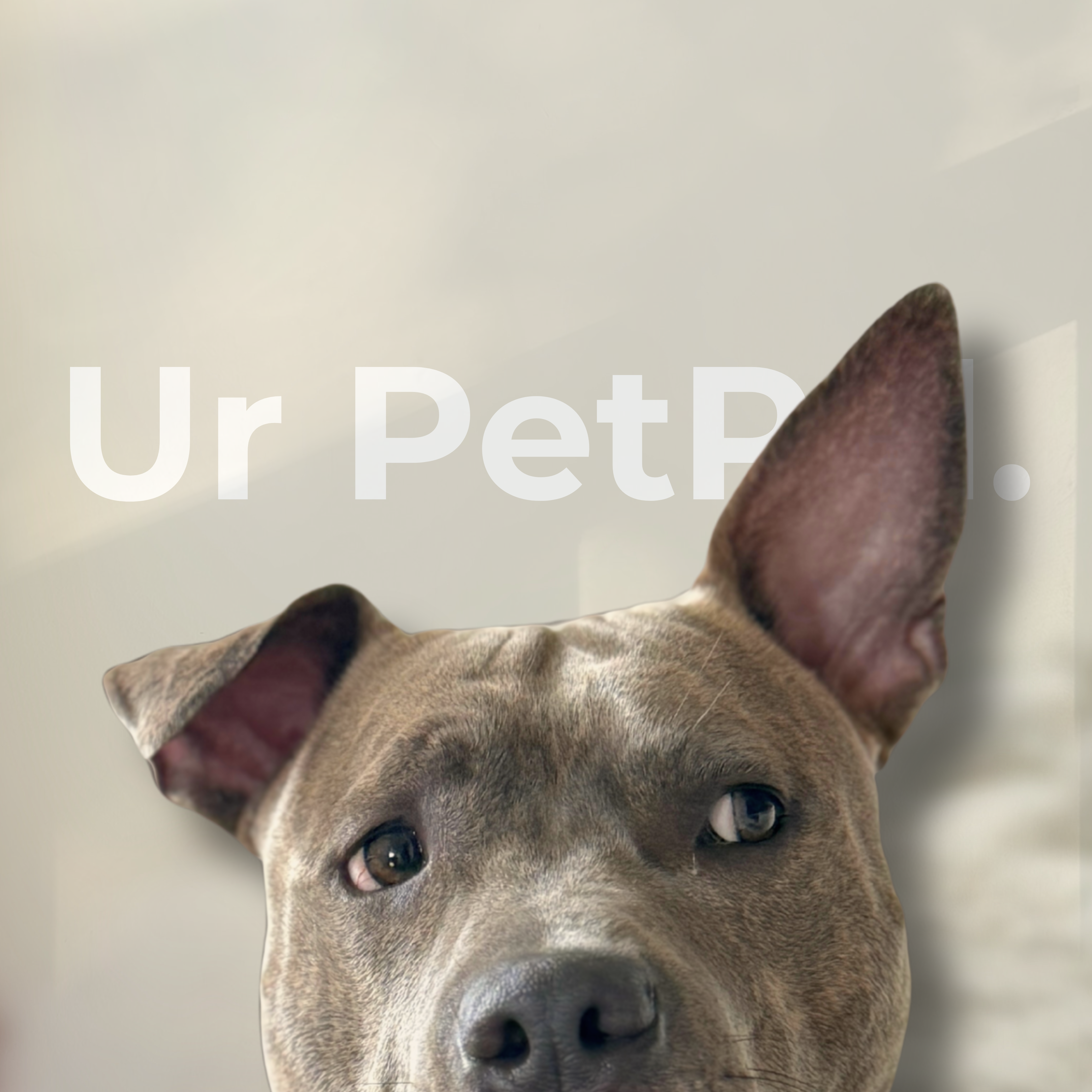 Ur PetPal logo