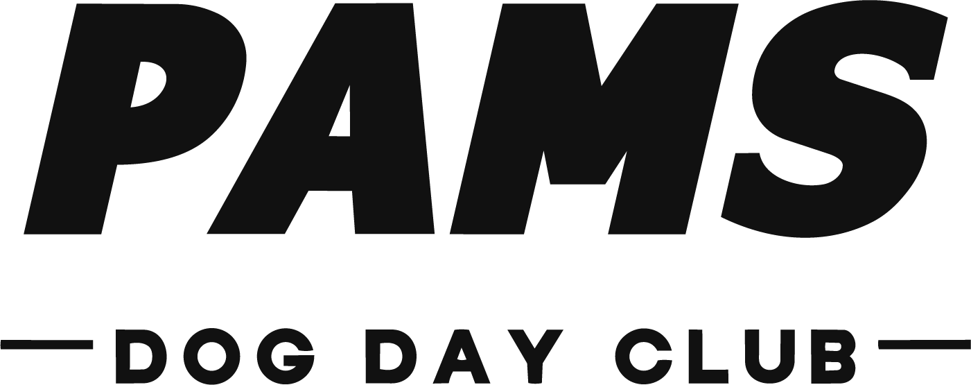 Pams Dog Day Club logo