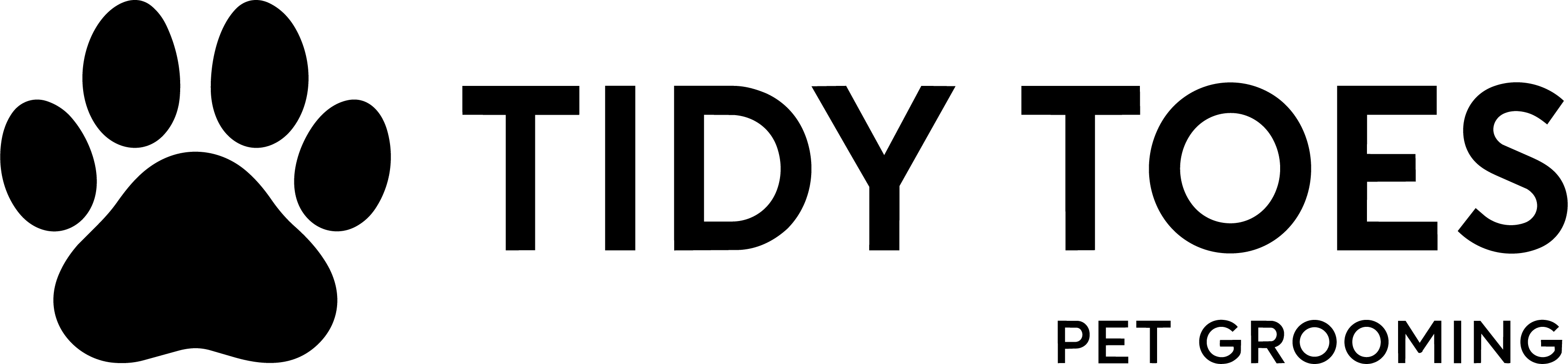 Tidy Toes logo
