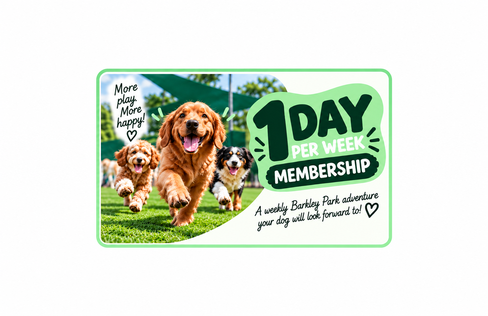 Membership - 1 Daycare Day Per Week