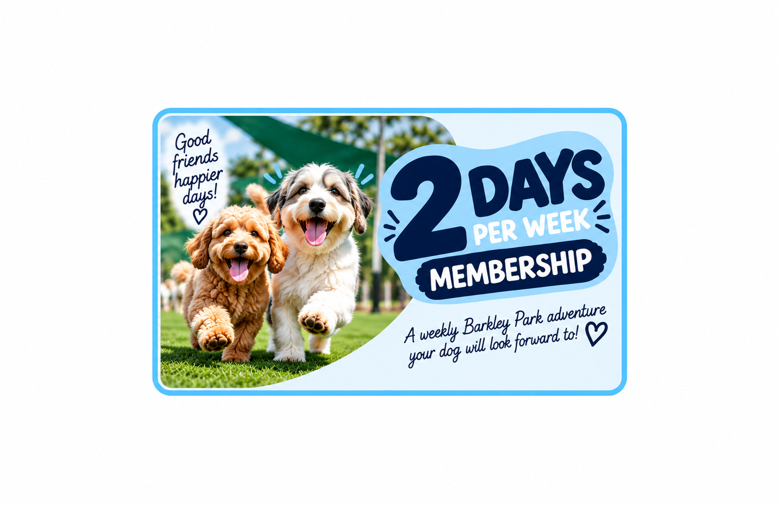 Membership - 2 Daycare Days Per Week