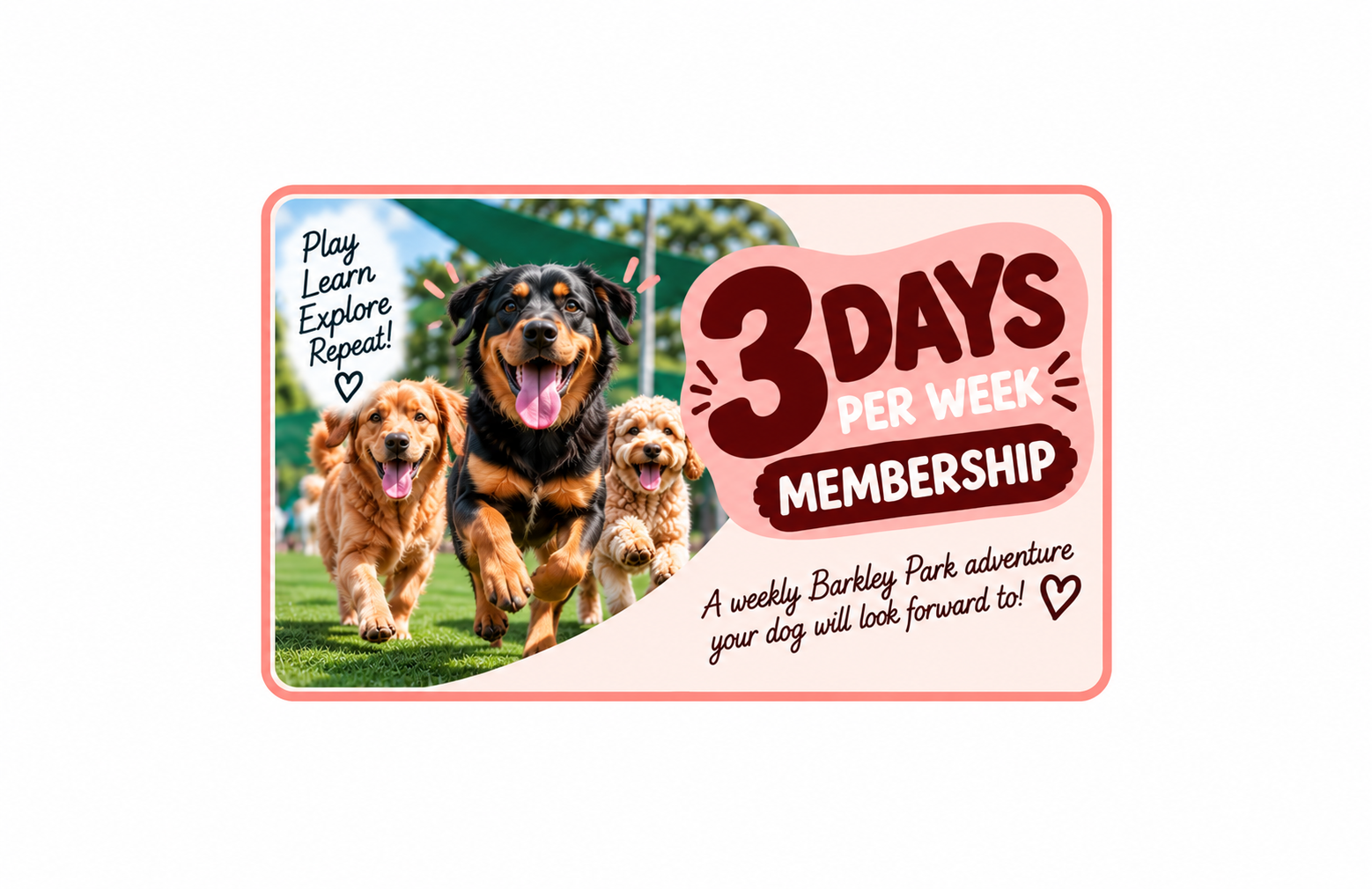 Membership - 3 Daycare Days Per Week