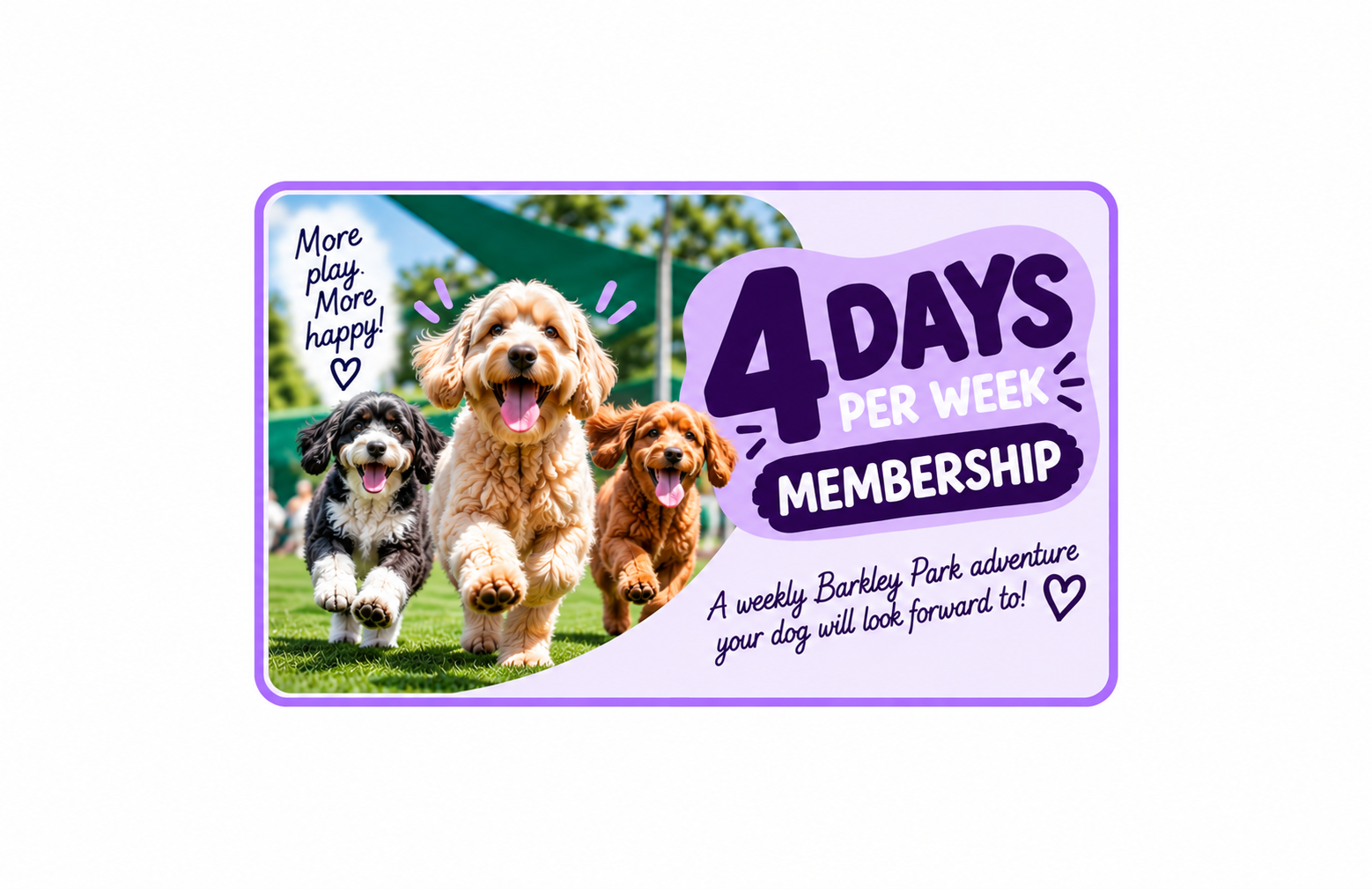 Membership - 4 Daycare Days Per Week