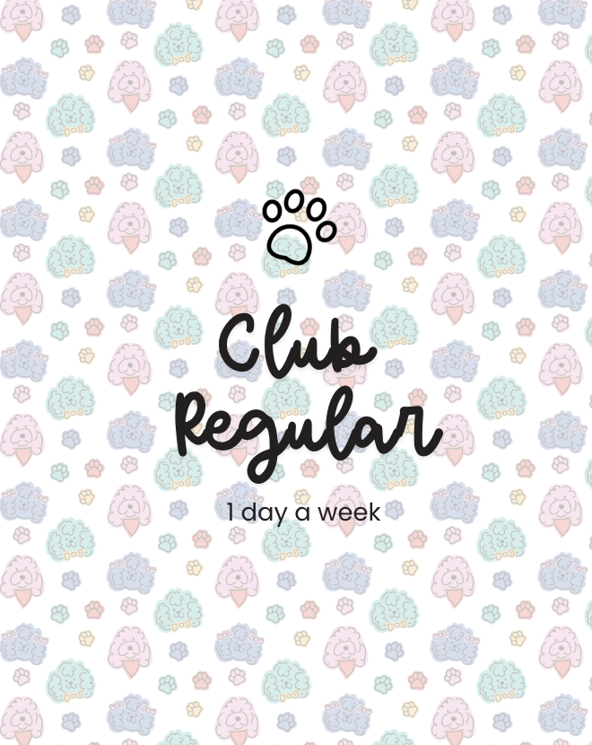 Club Regular - 1 day a week