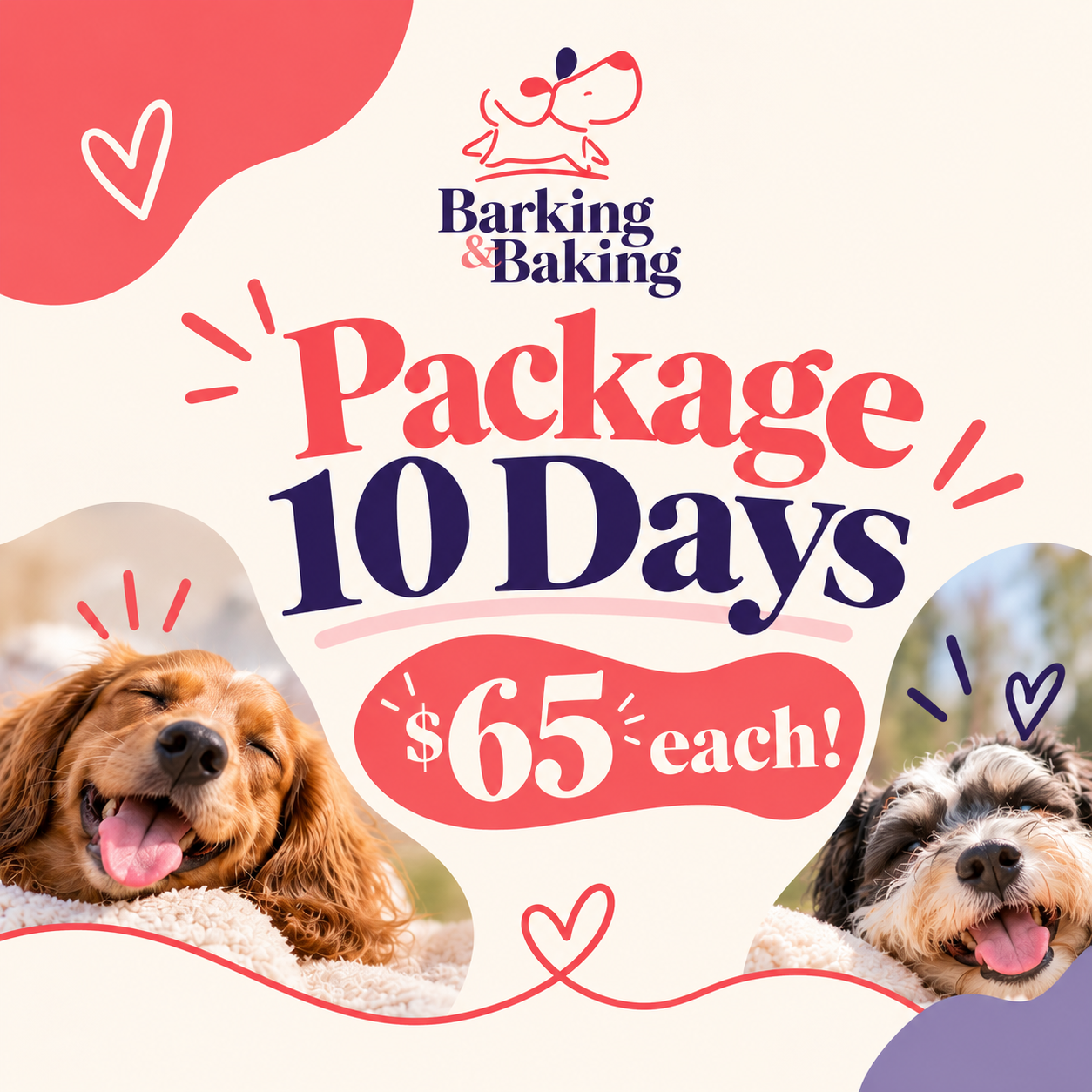 Daycare 10 pack_2026