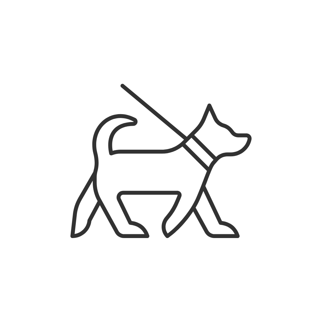 Obedience Group Casual Class - 5 pack