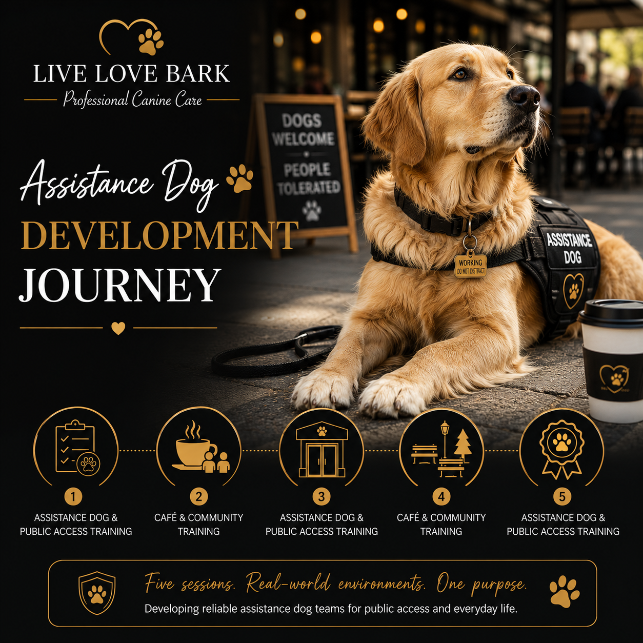 🦮 Assistance Dog Development Journey