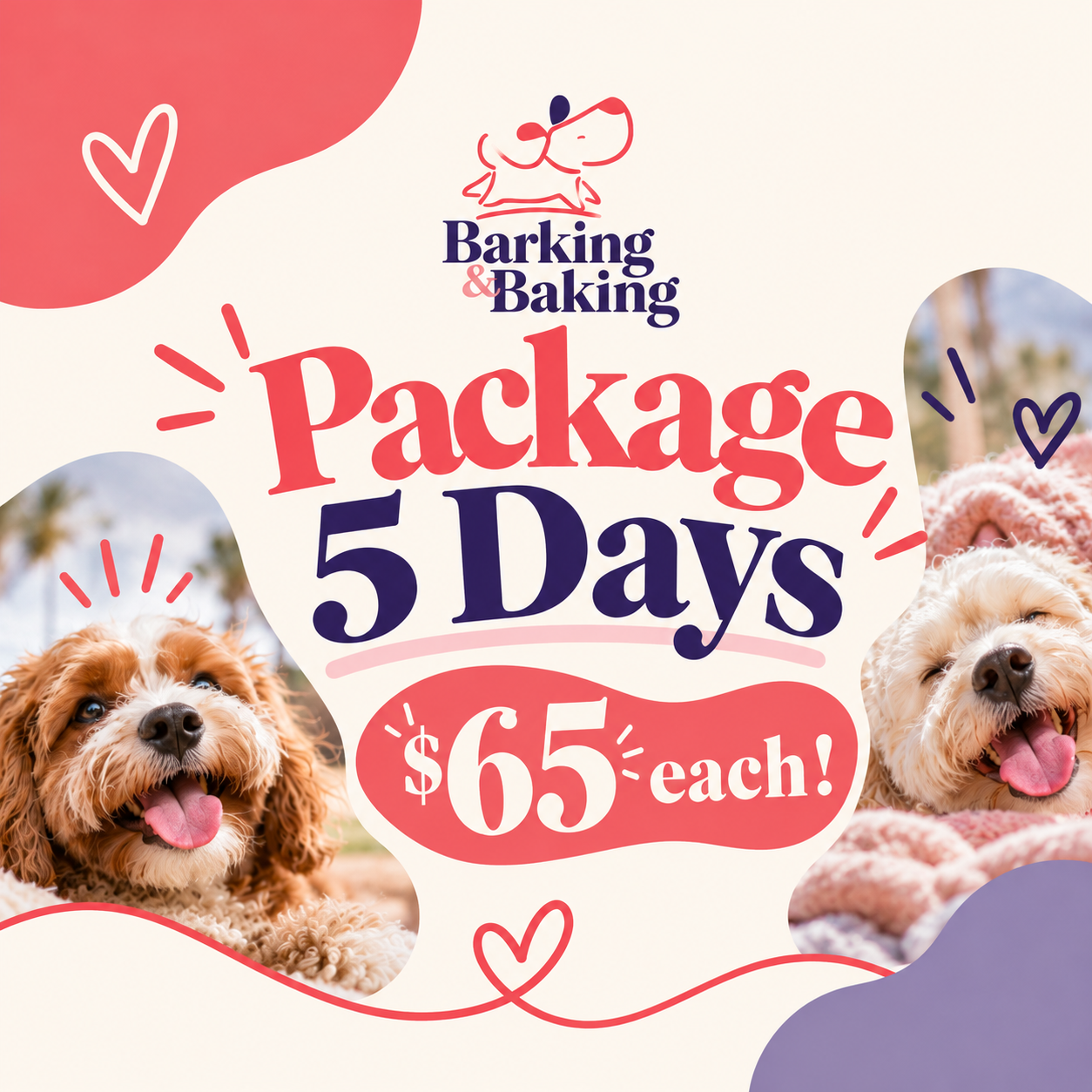 Daycare 5 pack_2026
