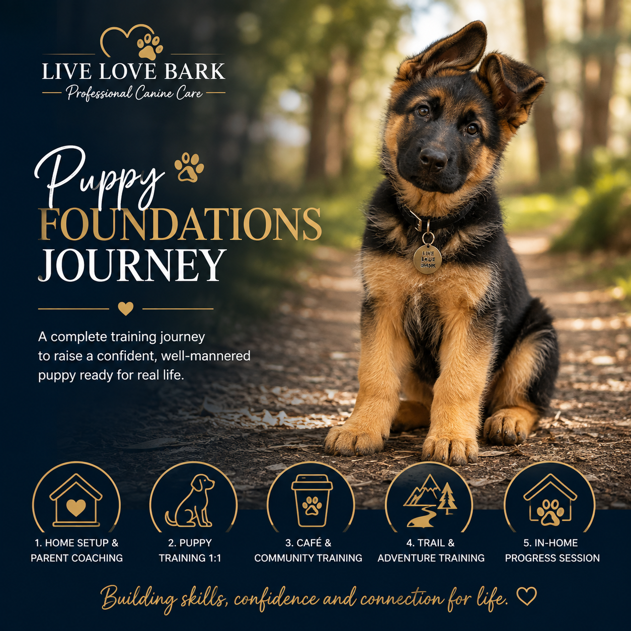 🐶 Puppy Foundations Journey