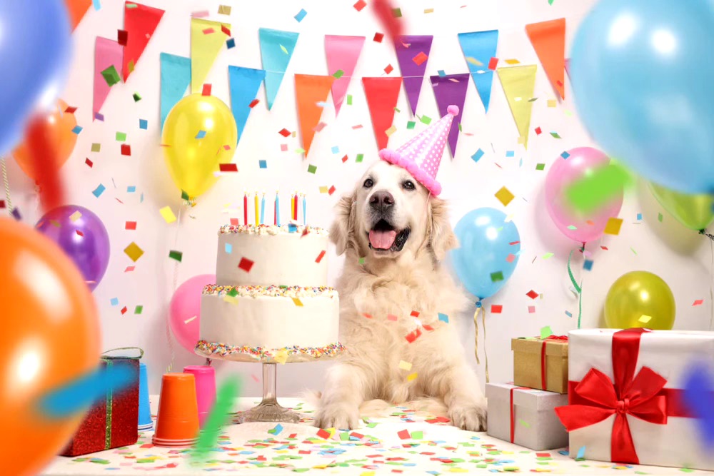Birthday Package