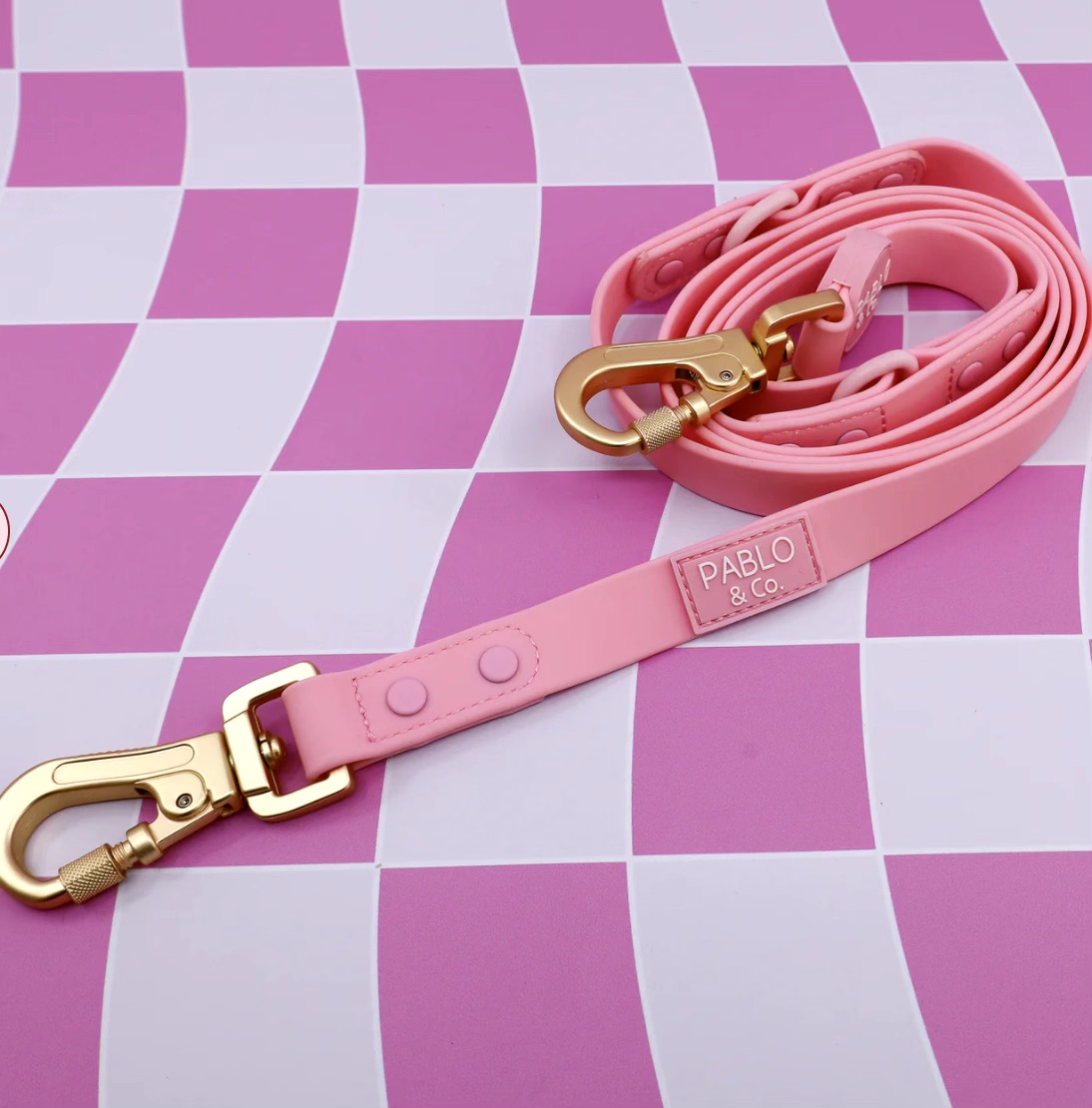 Bubblegum: Multi-Functional Waterproof Leash