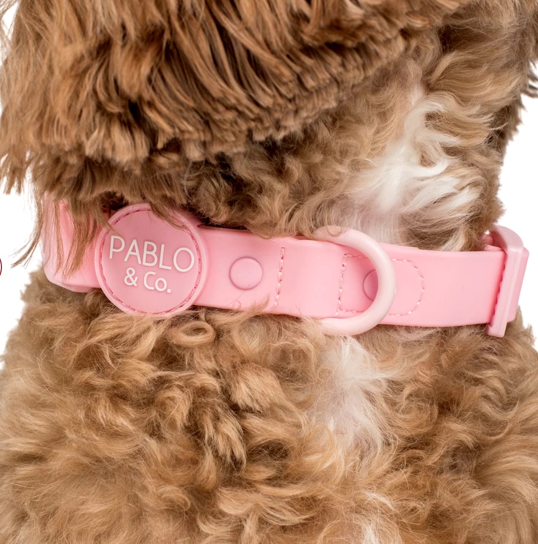 Bubblegum: Waterproof Collar Size: S