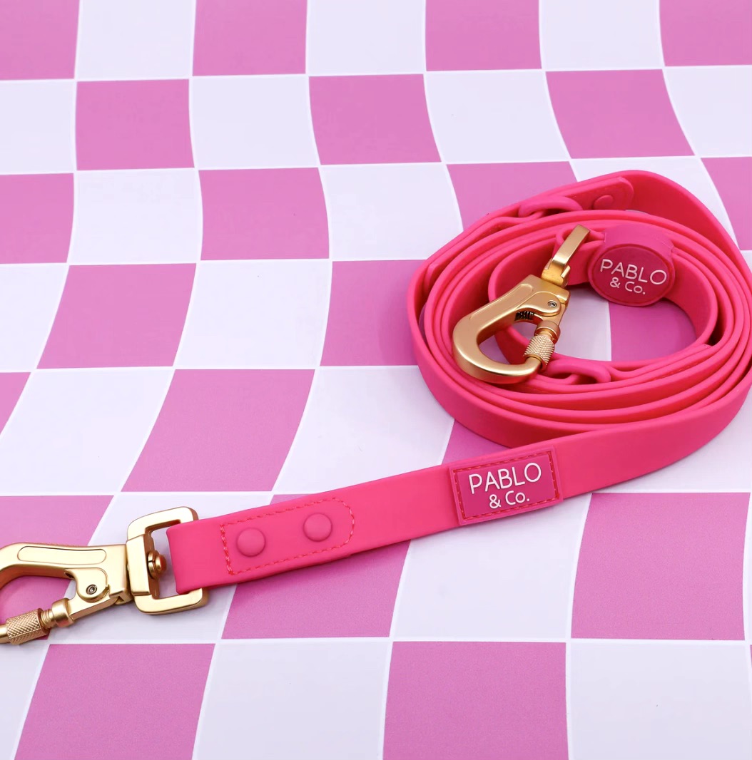 Dragonfruit: Multi-Functional Waterproof Leash