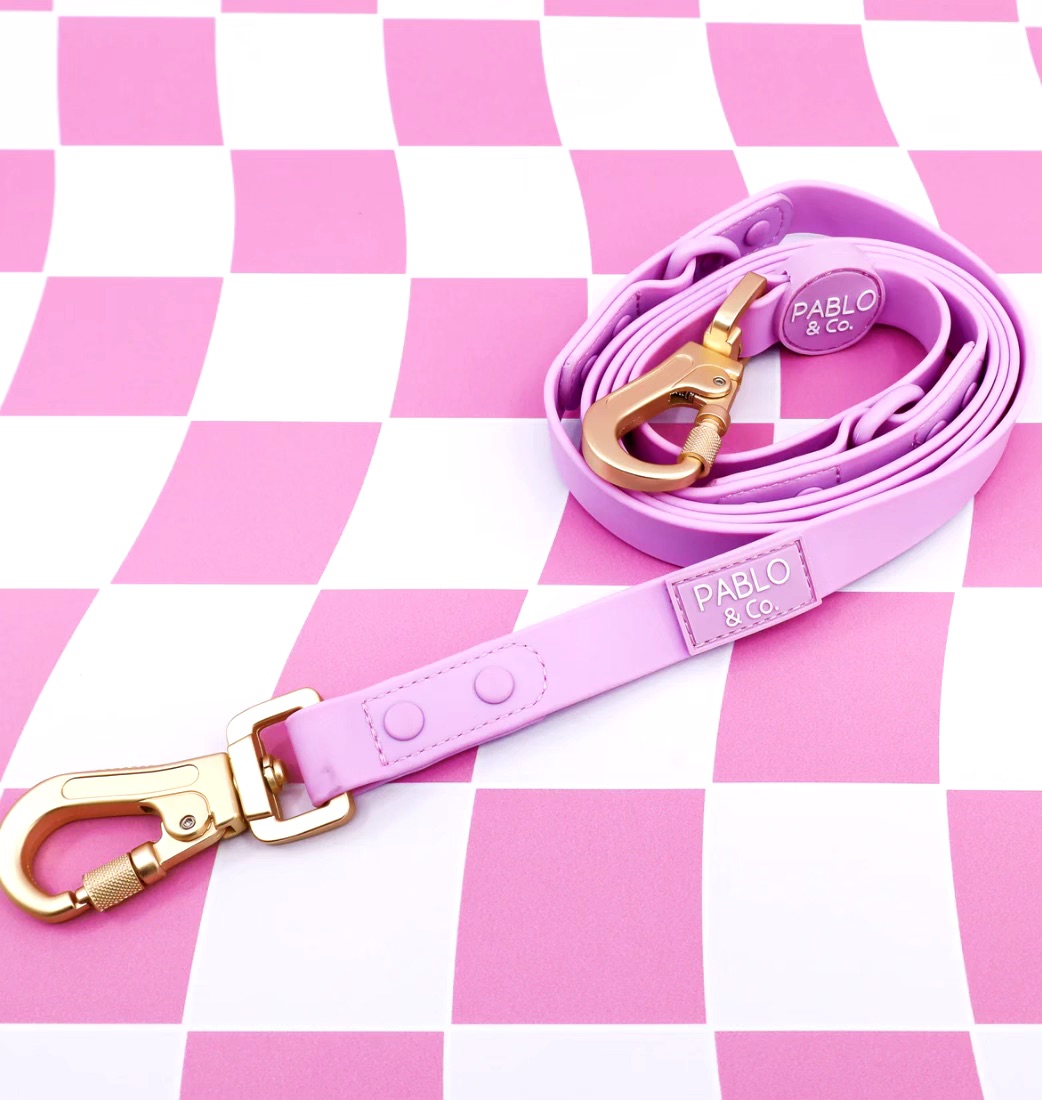 Lavender: Multi-Functional Waterproof Leash