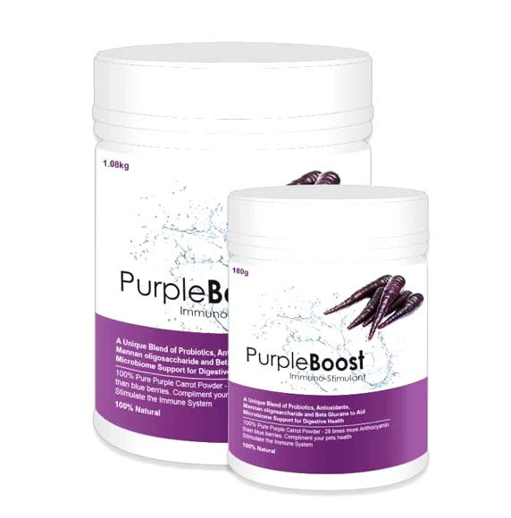 LifeWise Purple Boost 180g