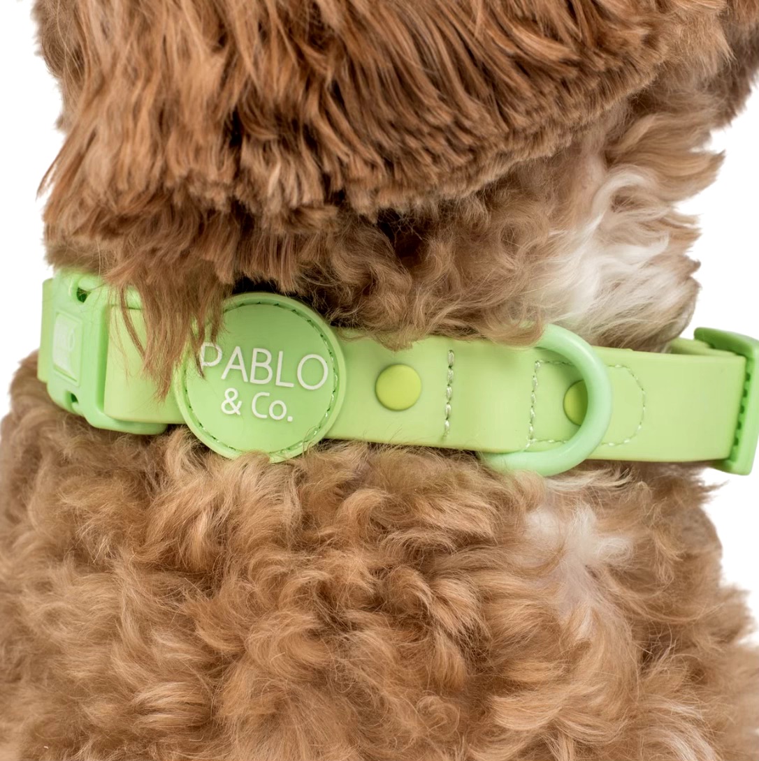 Lime: Waterproof Collar Size: M
