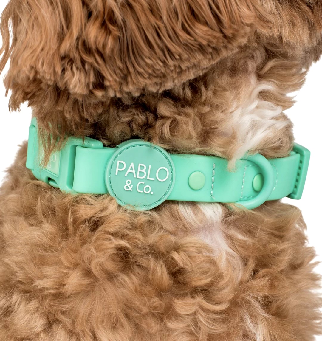 Peppermint: Waterproof Collar Size: XS