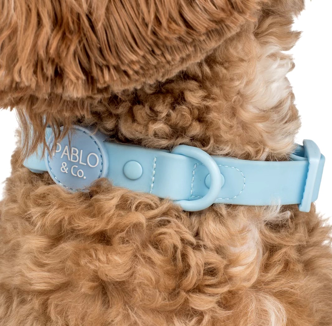 Sea Salt: Waterproof Collar Size: XS
