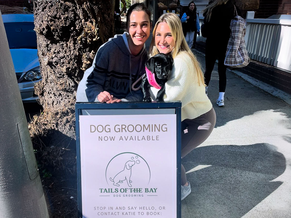 Tails of The Bay - professional pet services