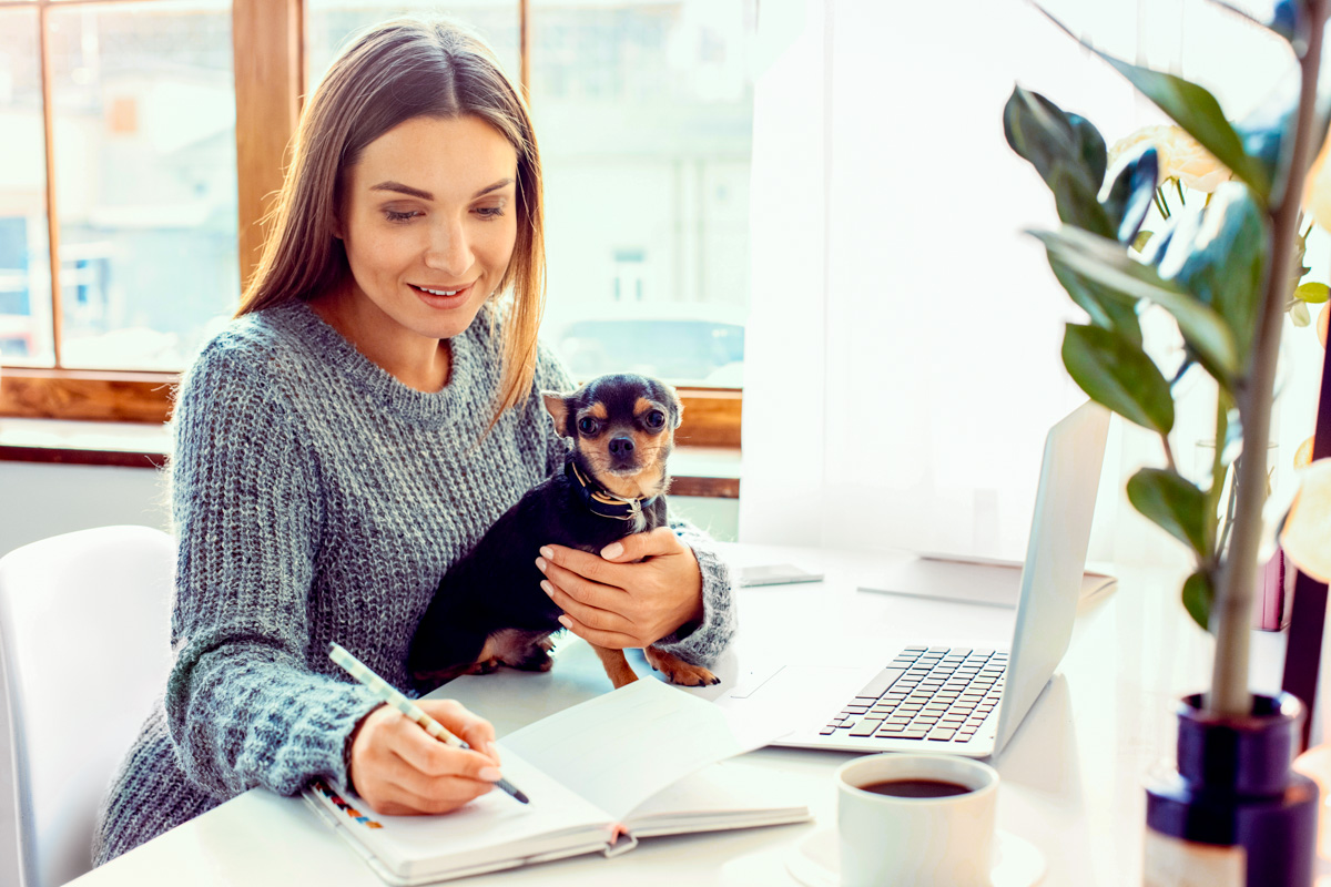 Trail Sniffers pet services