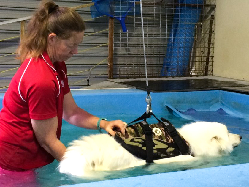 Hydrotherapy Consultation