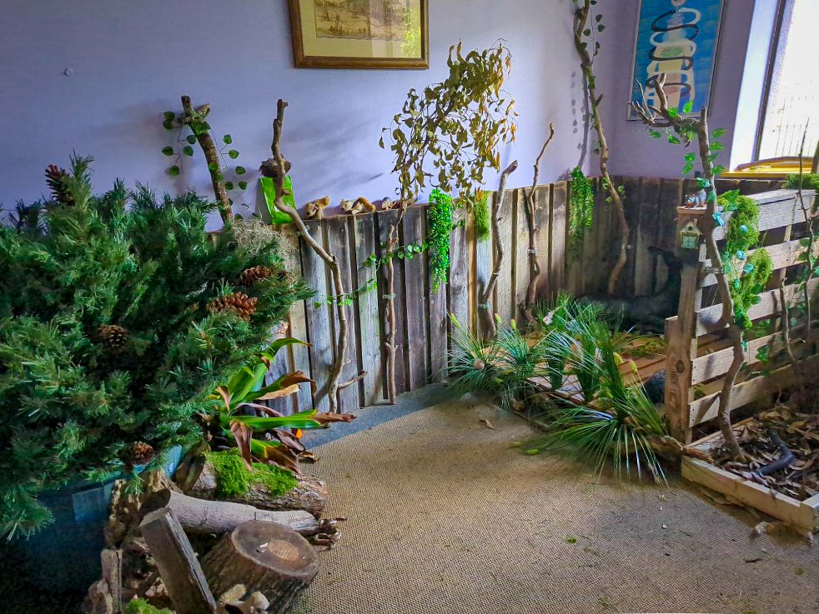 Sniff Room Enrichment Session: 30 min