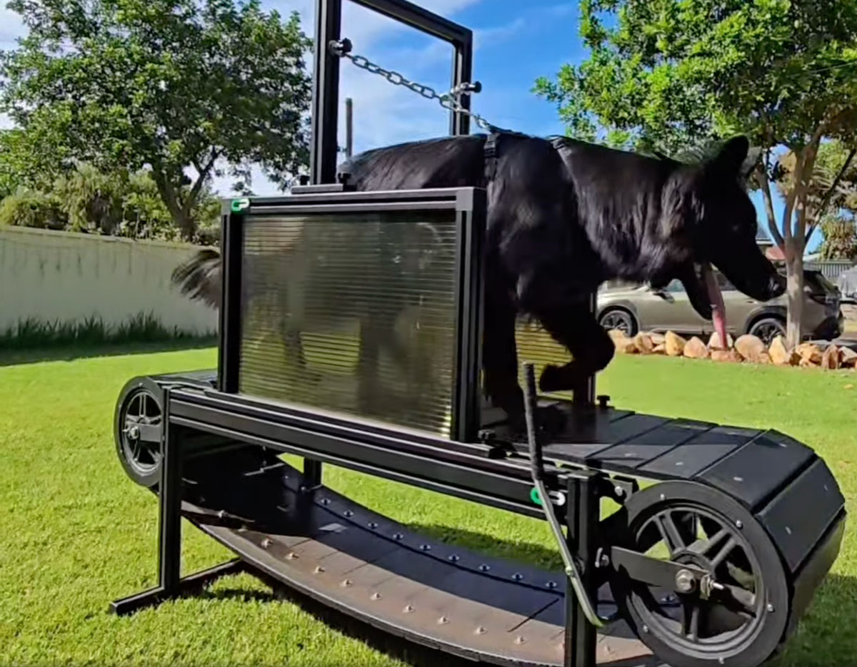 Recovery Massage Add-On