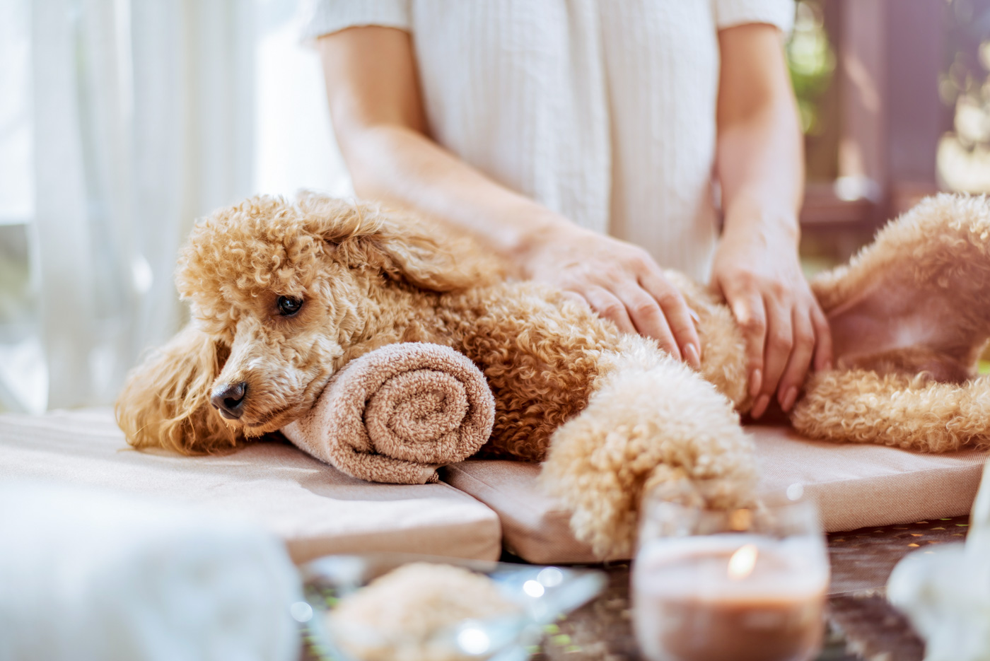 Physical Therapy & Remedial Massage Session