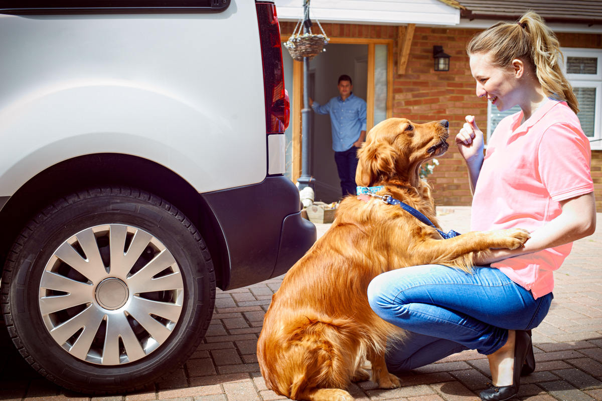 Pet Transport: 1-way