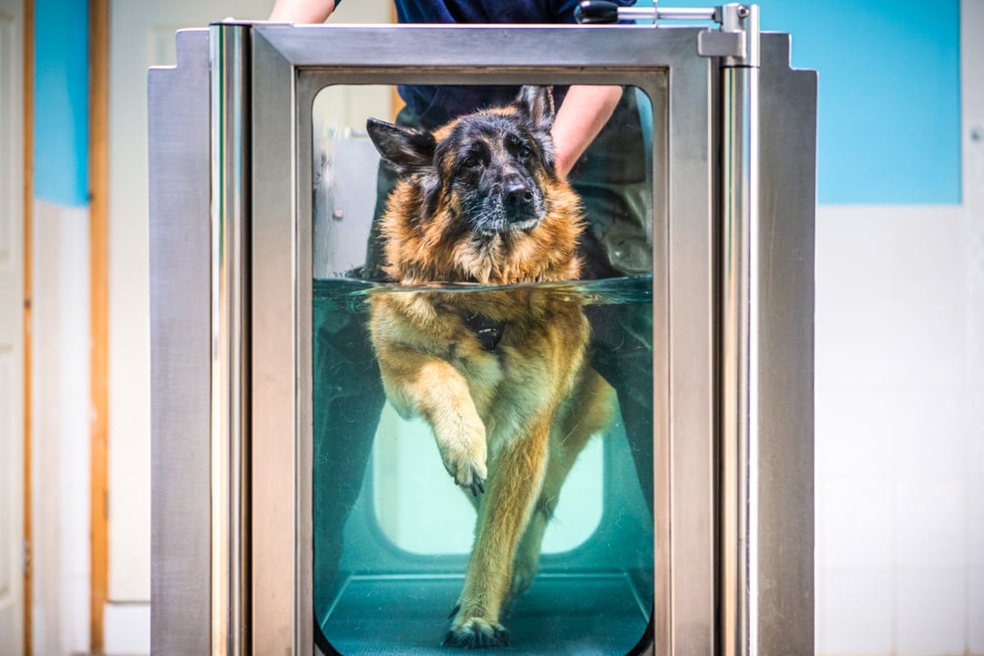 Hydrotherapy & Remedial Massage Session