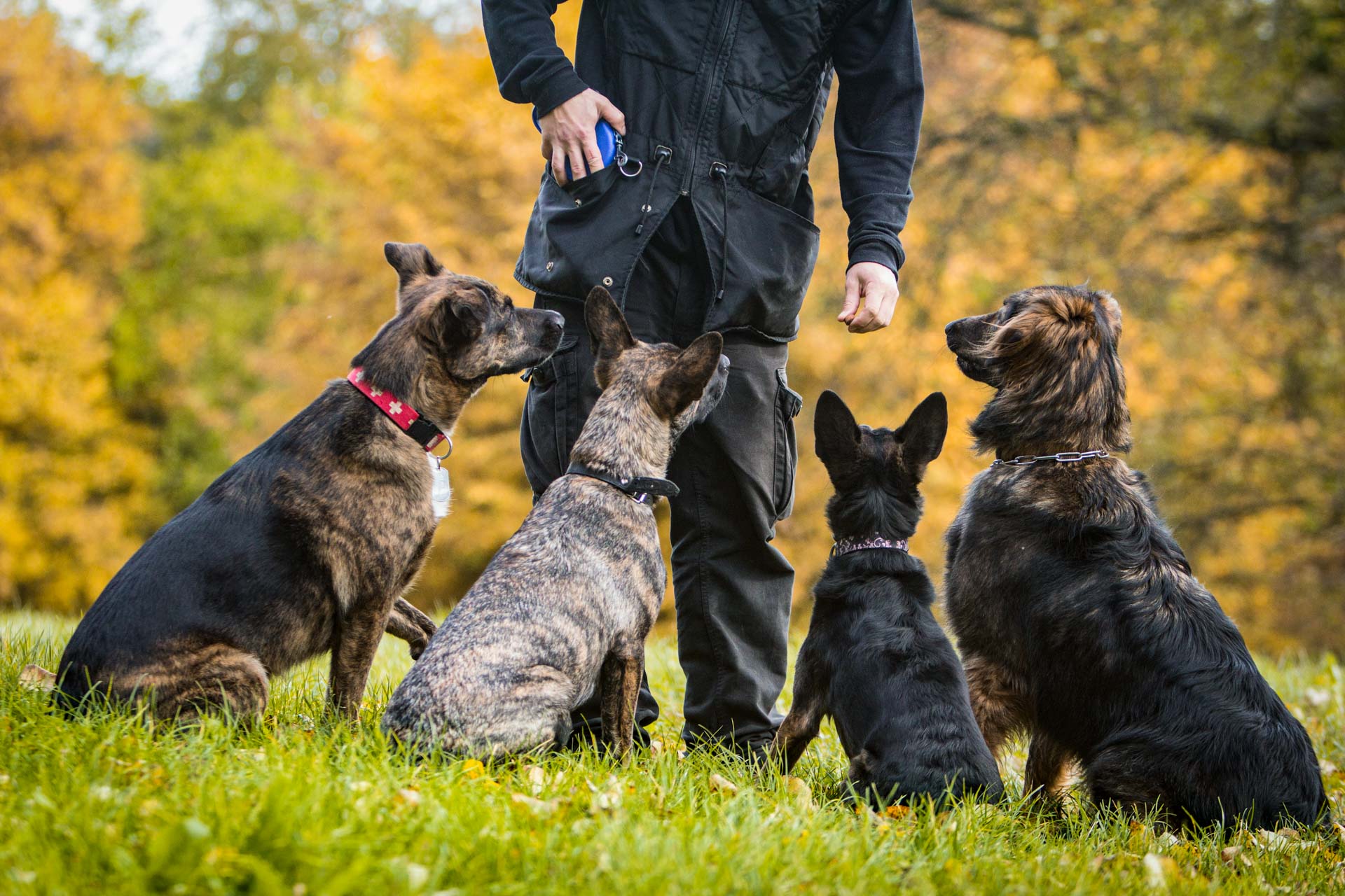 Day School Training Fee (x6)