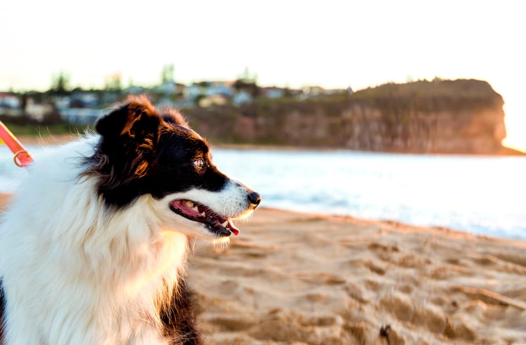 One-on-one Movement & Mobility Session