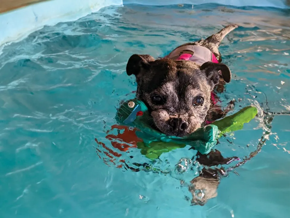 Swimming Lesson Session: 60 min