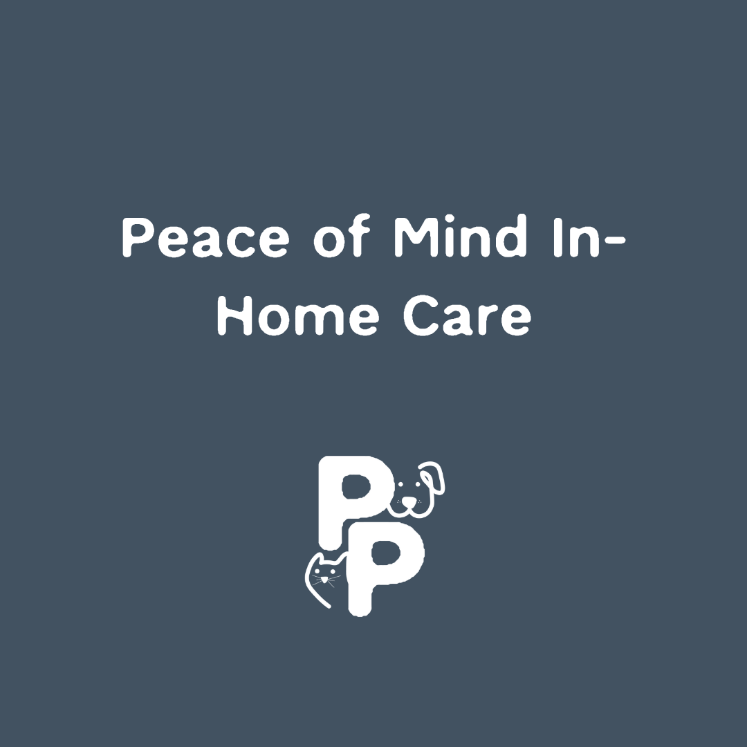 Posh Paws Gold Coast pet services