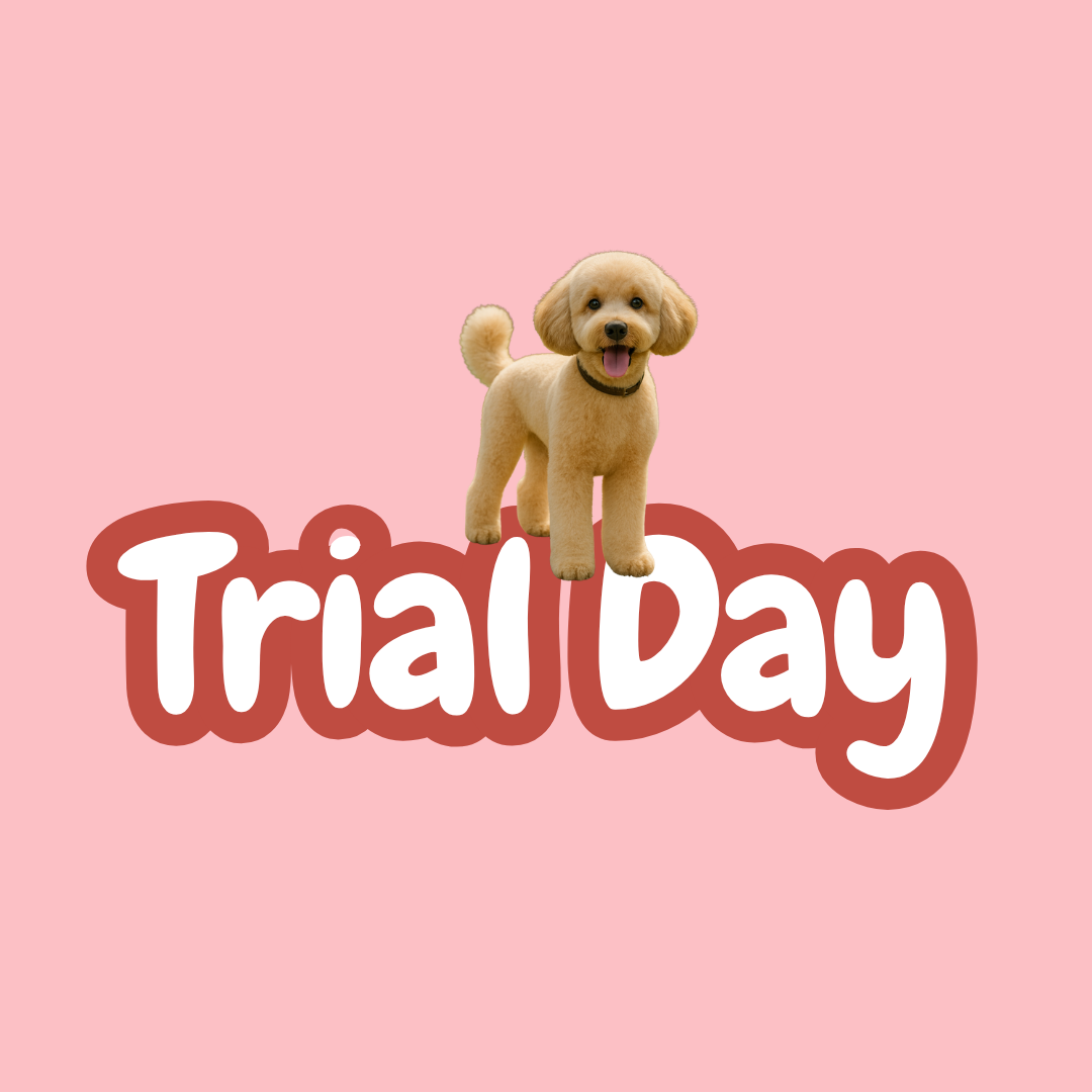 DayPlay Trial Day