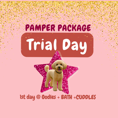 DayPlay Pamper Package Trial (Daycare + cuddles + bath and towel dry)