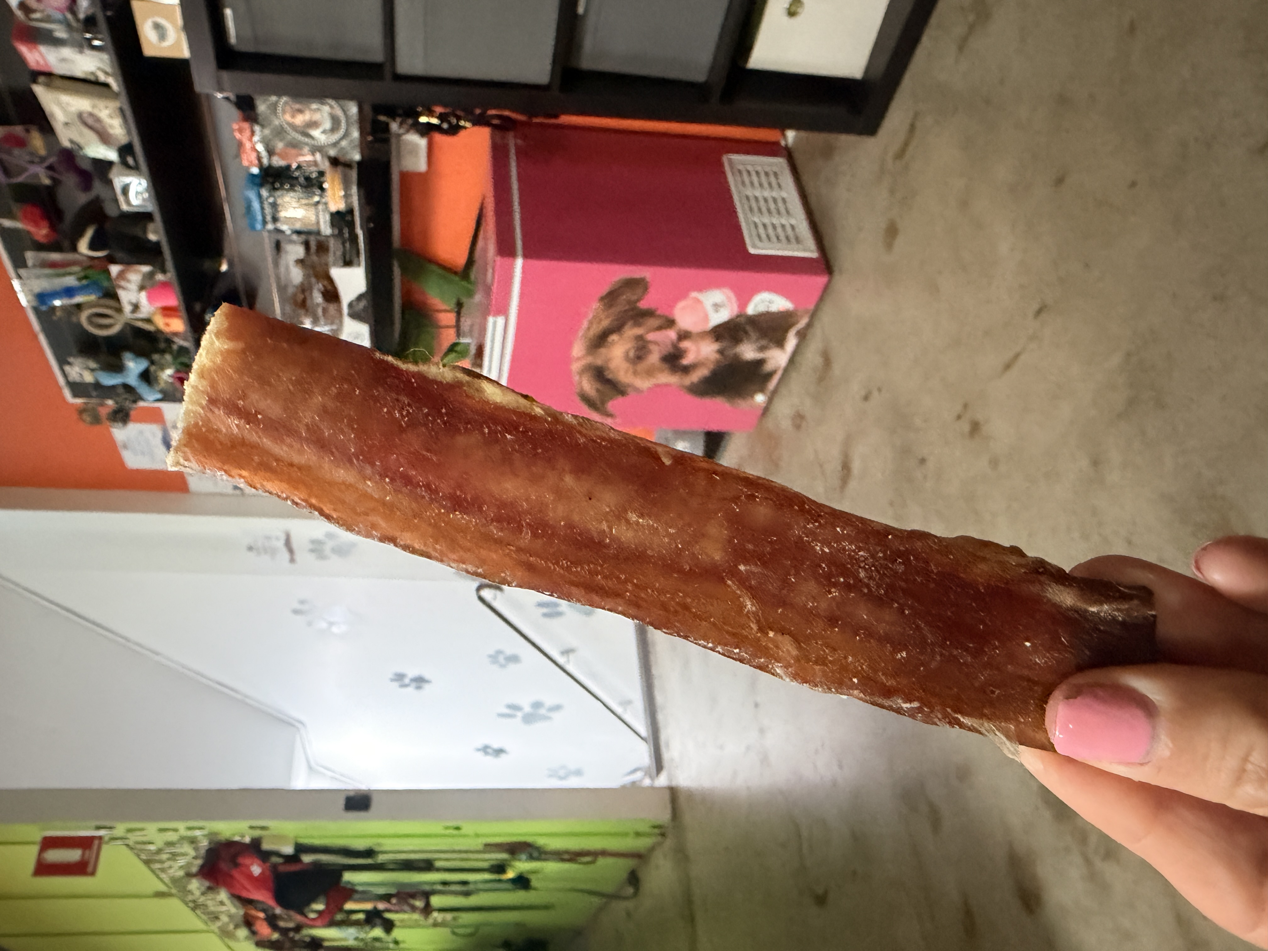 Bully Stick