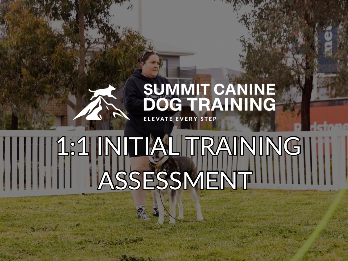 1:1 Initial Training Assessment